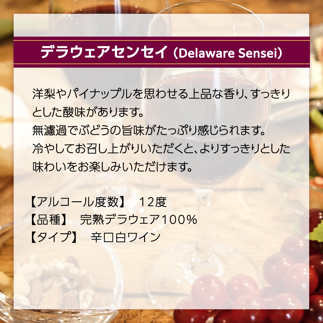 デラウェアセンセイ Delaware Sensei 750ml×1本 茨城県産 牛久醸造場 日本ワイン ワイン 白ワイン 750ml ミディアムボディ お酒 贈り物 葡萄 ぶどう