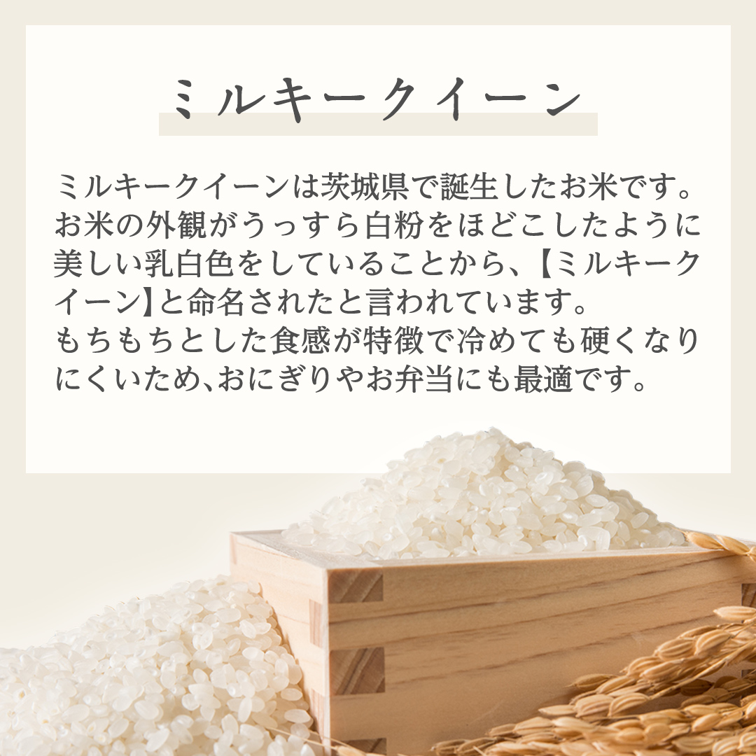 《 令和6年産 》《 食べ比べ セット 》 茨城県産 無洗米 コシヒカリ ・ ミルキークイーン 計 10kg (各 5kg × 1袋 ) 食べ比べ セット こしひかり 米 コメ こめ 五ツ星 高品質 白米 精米 時短 お弁当 期間限定 新米