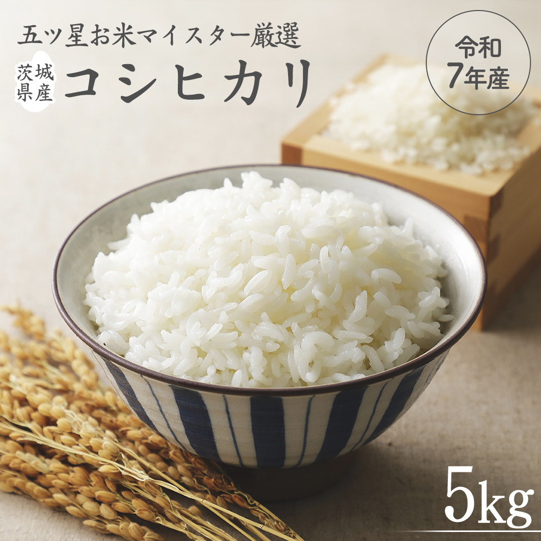 《 令和7年産 》 茨城県産 コシヒカリ 5kg ( 5kg × 1袋 ) 期間限定 こしひかり 米 コメ こめ 五ツ星 高品質 白米 精米 時短 単一米