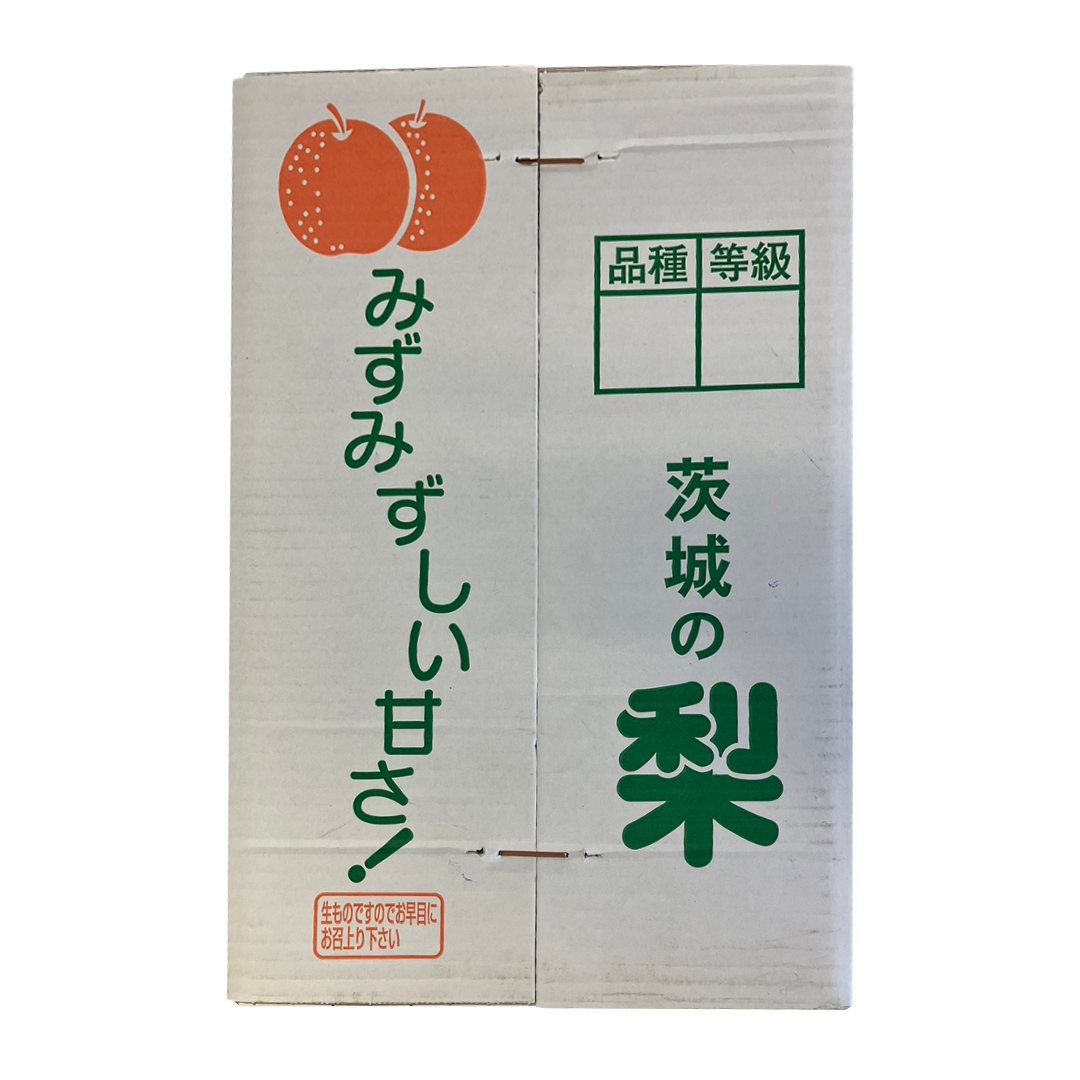 【 2025年9月上旬発送開始 】 茨城県産 梨 秋月 （約 5kg ） 10～16玉 フルーツ 果物 なし ナシ 旬 新鮮 期間限定 甘い 国産 先行予約