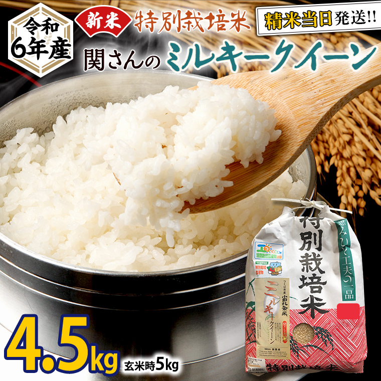 《 特別栽培米 》 令和6年産 精米日出荷 関さんの「 ミルキークイーン 」 4.5kg ( 玄米時 5kg ) 新鮮 精米 米 こめ コメ 特別栽培農産物 認定米 新米