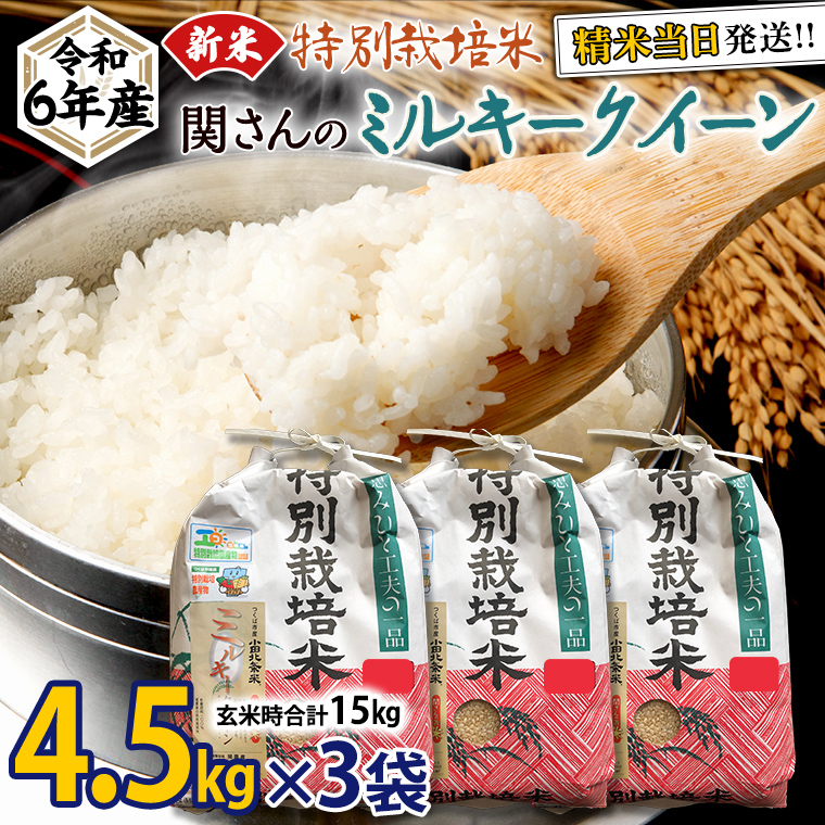 《 特別栽培米 》 令和6年産 精米日出荷 関さんの「 ミルキークイーン 」 4.5kg × 3袋 ( 玄米時 15kg ) 新鮮 精米 米 こめ コメ 特別栽培農産物 認定米 新米