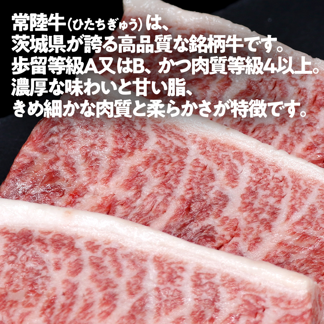 【 常陸牛100% 】 ハンバーグ 10個 ( ソース付 )( 茨城県共通返礼品 ) 牛肉100% 国産 ブランド牛 常陸牛 牛肉 肉 牛 お肉 黒毛和牛 和牛 おかず 惣菜 弁当 小分け 個包装 冷凍 時短 グルメ お取り寄せ お土産 贈り物 贈答 ギフト 日持ち 茨城