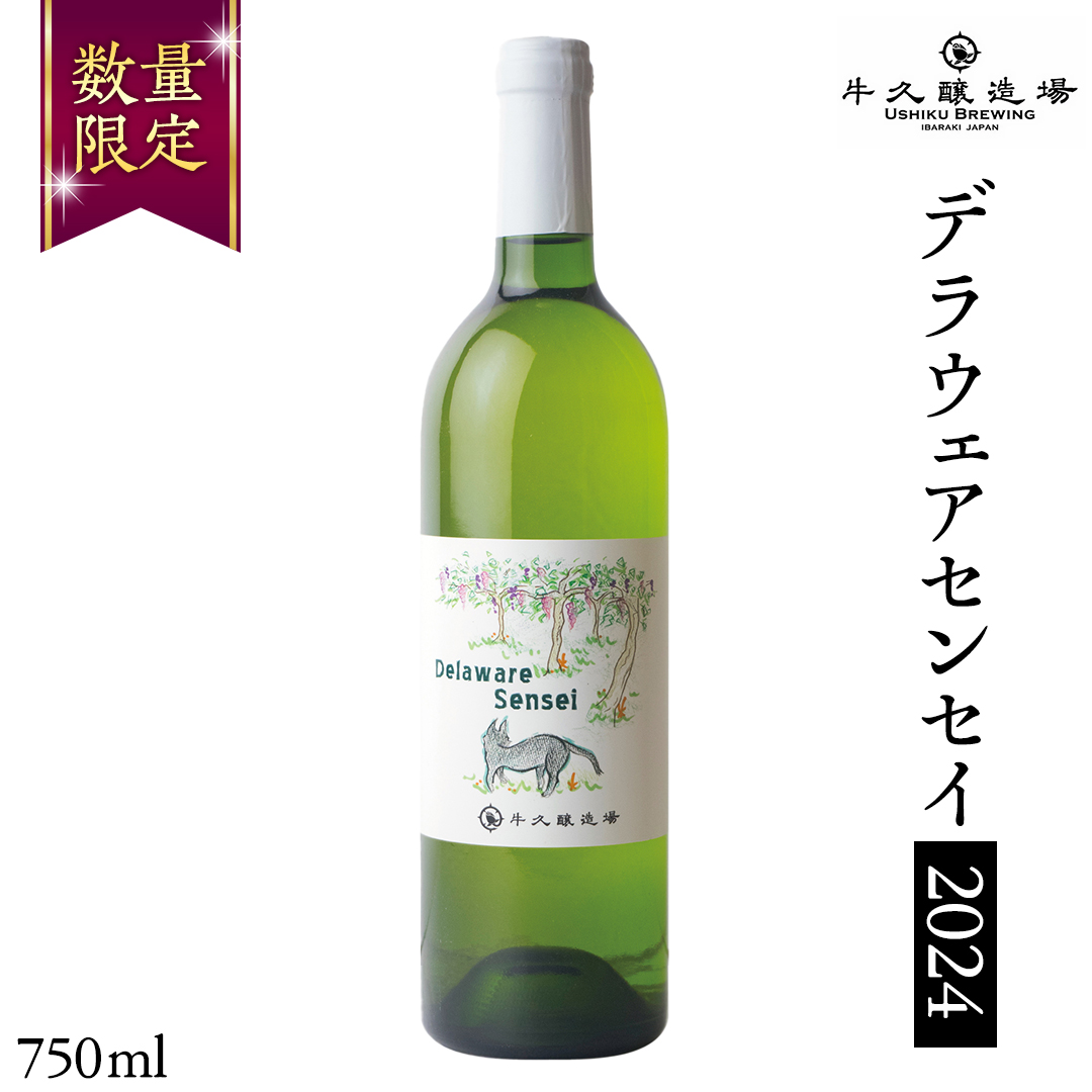 【 新酒 】デラウェアセンセイ Delaware Sensei 2024 750ml×1本 茨城県産 牛久醸造場 日本ワイン ワイン 白ワイン 750ml ミディアムボディ お酒 贈り物 葡萄 ぶどう