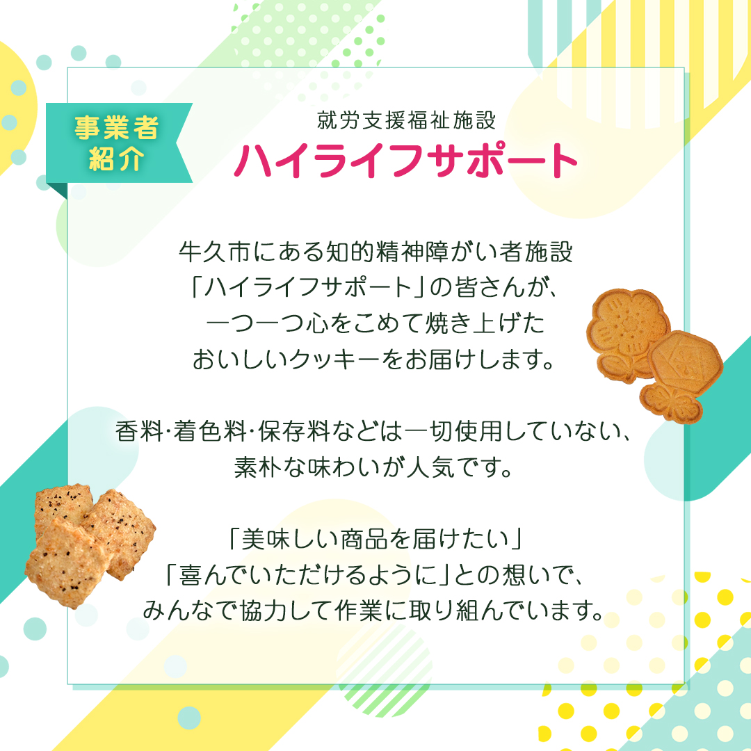 オートミールクッキー 2種 10枚 詰め合わせ 詰め合わせ クッキー くるみ ドライフルーツ スイーツ 猫 ねこ ネコ お菓子 おやつ お取り寄せ お土産 プチギフト 贈り物 お祝い ギフト 国産 茨城