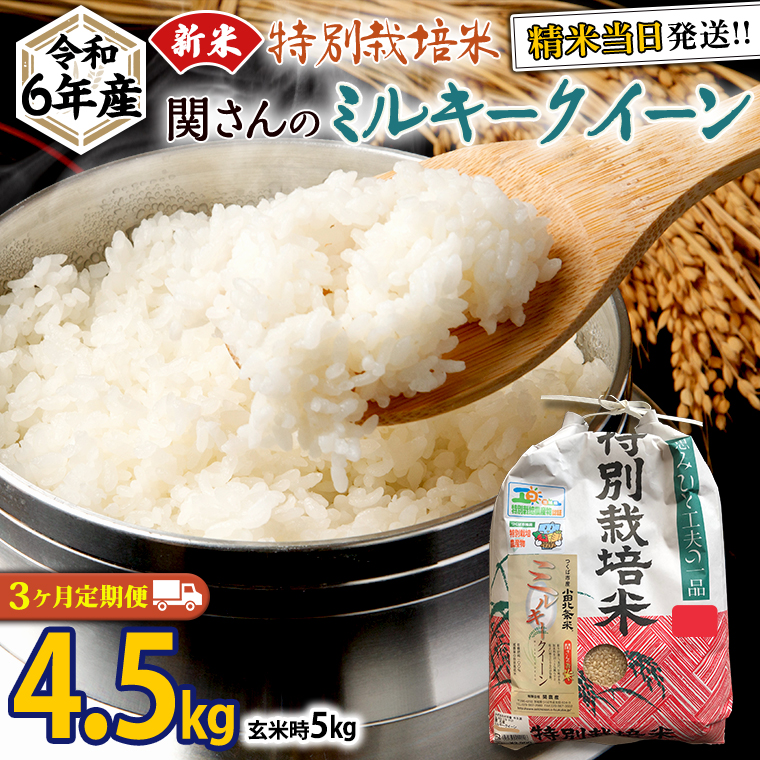 【 定期便 3ヶ月 連続 】《 特別栽培米 》令和6年産 精米日出荷 関さんの「 ミルキークイーン 」4.5kg ( 玄米時 5kg )  新鮮 米 特別栽培農産物 認定米 お米 白米 精米 ミルキークイーン 令和6年産 新米