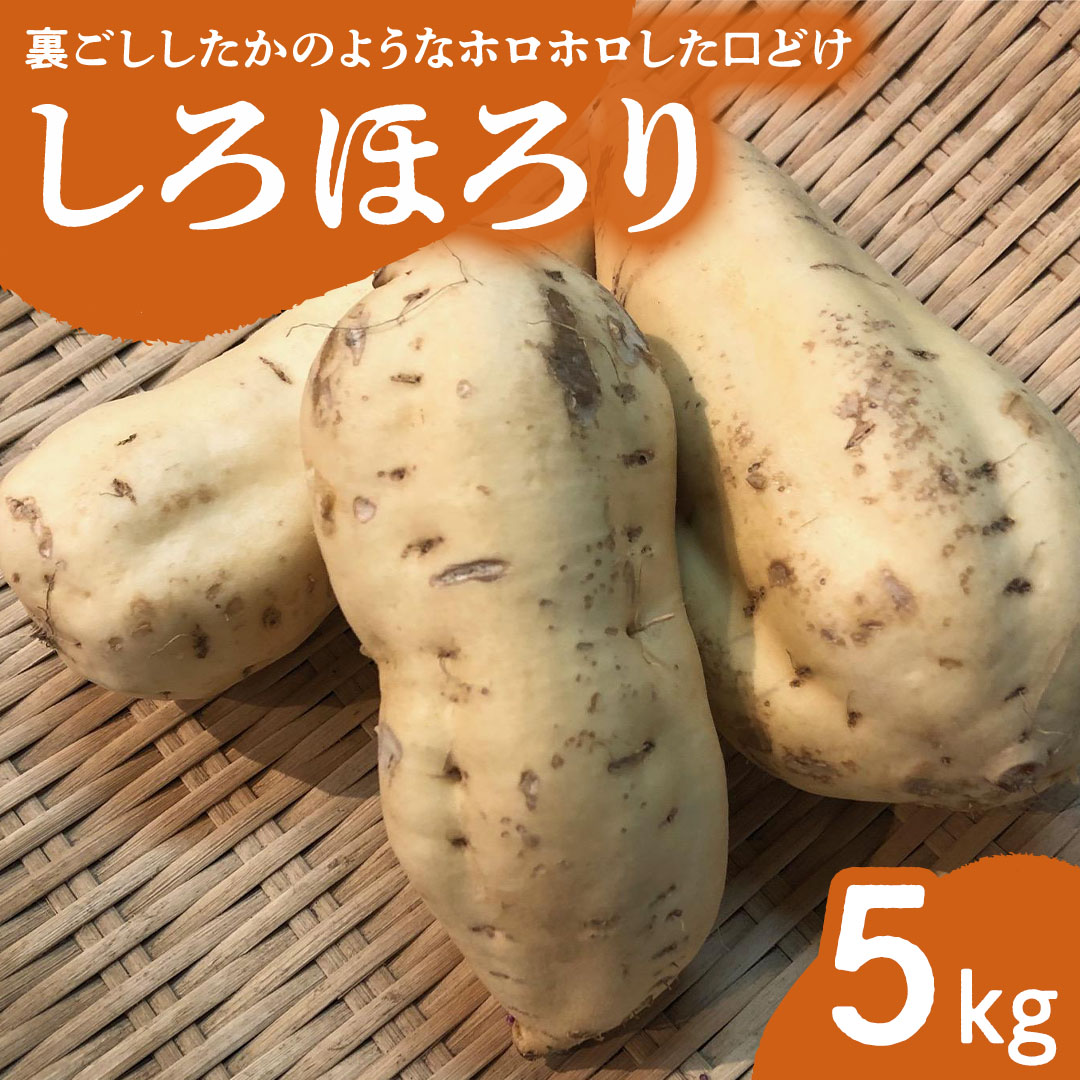 さつまいも 「 しろほろり 」 5kg 旬 甘い 芋 いも サツマイモ スイーツ 野菜