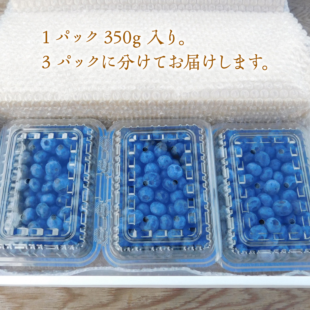 ≪先行予約≫ 朝採れ 完熟 ブルーベリー 1,050g （ 350g × 3パック ） 【 2025年 6月上旬頃より発送開始 】  数量限定 冷蔵 ベリー 甘い 甘酸っぱい 完熟 新鮮 フルーツ 果物 くだもの 贈り物 贈答 ギフト 国産 茨城 農園 産地直送