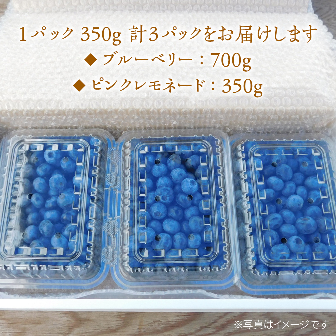 ≪先行予約≫ 朝採れ 完熟 ブルーベリー 700g と ピンクレモネード 350g の 詰合せ セット 食べ比べ (1パックあたり 350g ) 【 2025年 6月上旬頃より発送開始 】   数量限定 冷蔵 ベリー 甘い 甘酸っぱい 完熟 新鮮 フルーツ 果物 くだもの 贈り物 贈答 ギフト 国産 茨城 農園 産地直送