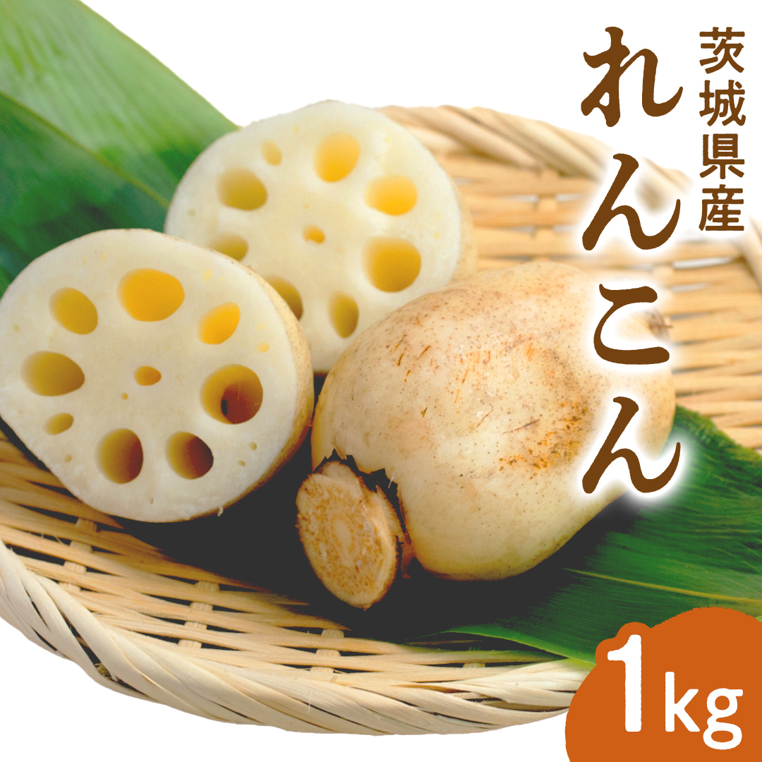 みずほの村市場牛久店 れんこん 1kg 新鮮 野菜 旬 レンコン シャキシャキ お取り寄せ お取り寄せ野菜 蓮根