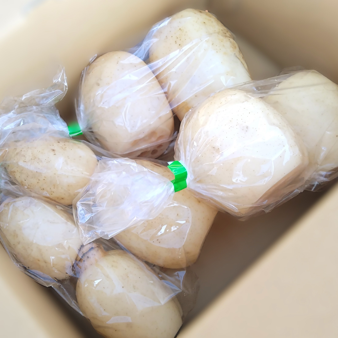 みずほの村市場牛久店 れんこん 1kg 新鮮 野菜 旬 レンコン シャキシャキ お取り寄せ お取り寄せ野菜 蓮根