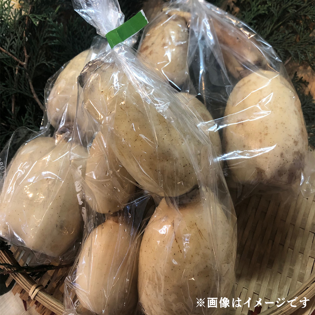 みずほの村市場牛久店 れんこん 1kg 新鮮 野菜 旬 レンコン シャキシャキ お取り寄せ お取り寄せ野菜 蓮根