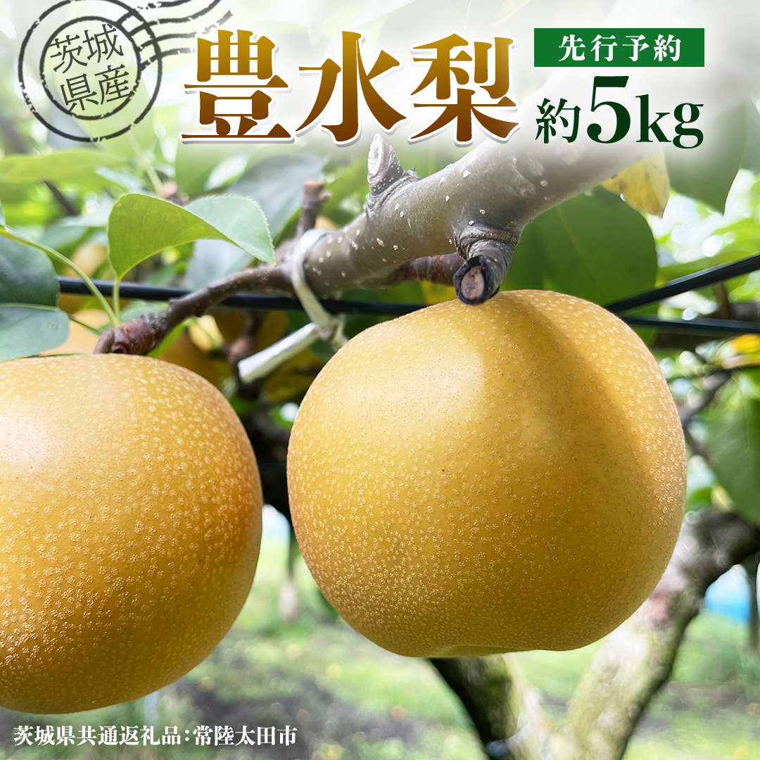 【 先行予約 】茨城県産 梨 豊水 約5kg 11玉～16玉 ( 茨城県共通返礼品 : 常陸太田市 ) 【 2025年 9月上旬頃より発送 】 フルーツ 果物 国産 日本産 梨 ナシ なし 和梨 期間限定 数量限定