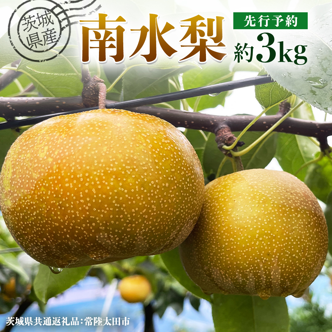 【 先行予約 】茨城県産 梨 南水 約3kg 7玉～9玉 ( 茨城県共通返礼品 : 常陸太田市 )【 2025年 9月中旬頃より発送 】 フルーツ 果物 国産 日本産 梨 ナシ なし 和梨 期間限定 数量限定