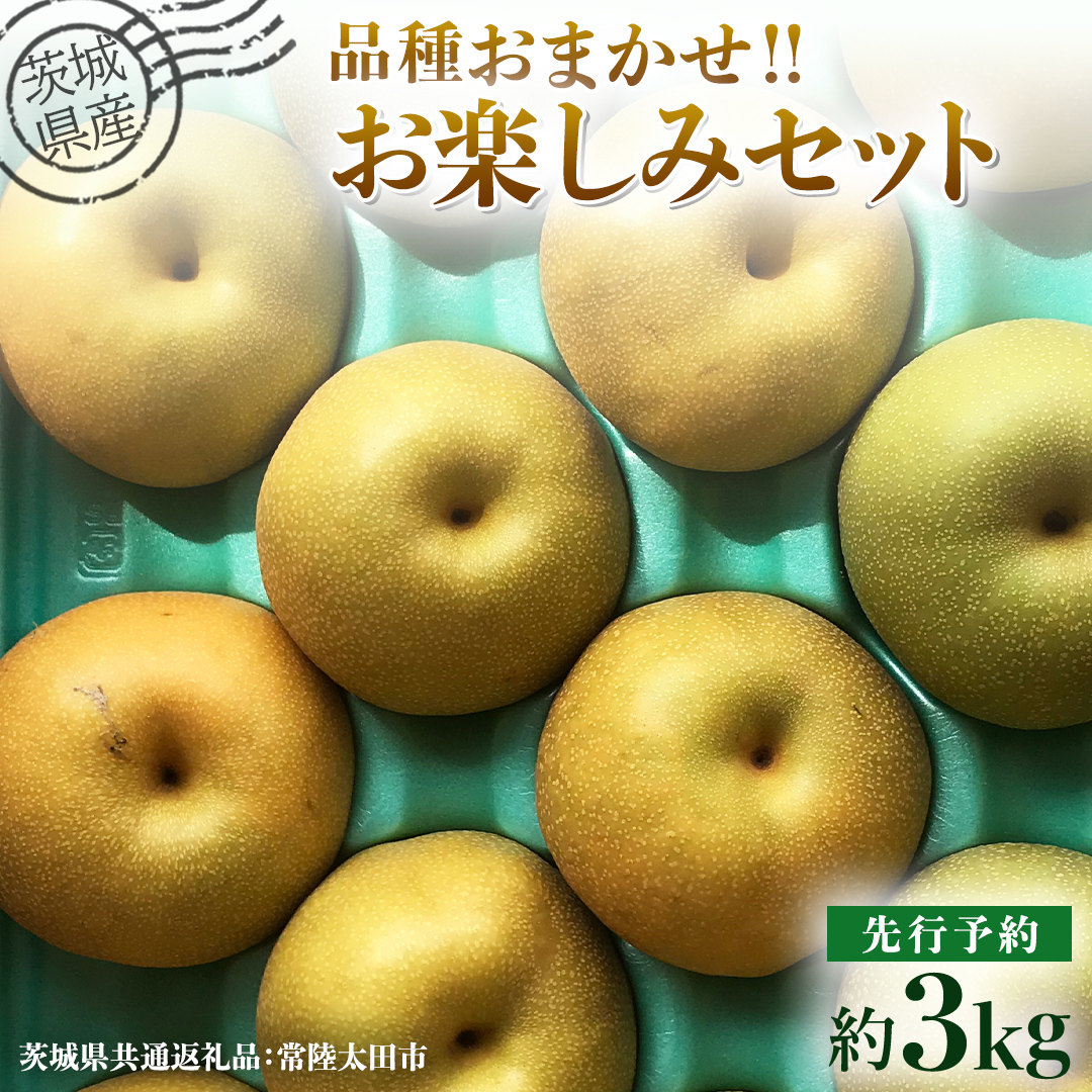 【 先行予約 】茨城県産 梨 品種おまかせお楽しみセット 約3kg 6玉～10玉 ( 茨城県共通返礼品 : 常陸太田市 )【 2025年 9月上旬頃より発送 】 フルーツ 果物 国産 日本産 梨 ナシ なし 和梨 期間限定 数量限定