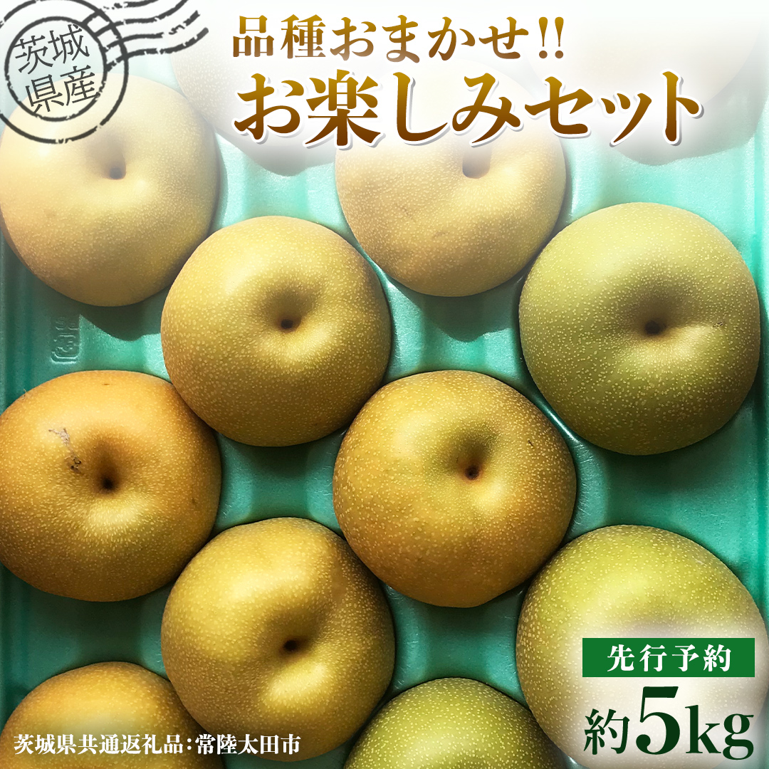 【 先行予約 】茨城県産 梨 品種おまかせお楽しみセット 約5kg 8玉～16玉 ( 茨城県共通返礼品 : 常陸太田市 )【 2025年 9月上旬頃より発送 】 フルーツ 果物 国産 日本産 梨 ナシ なし 和梨 期間限定 数量限定