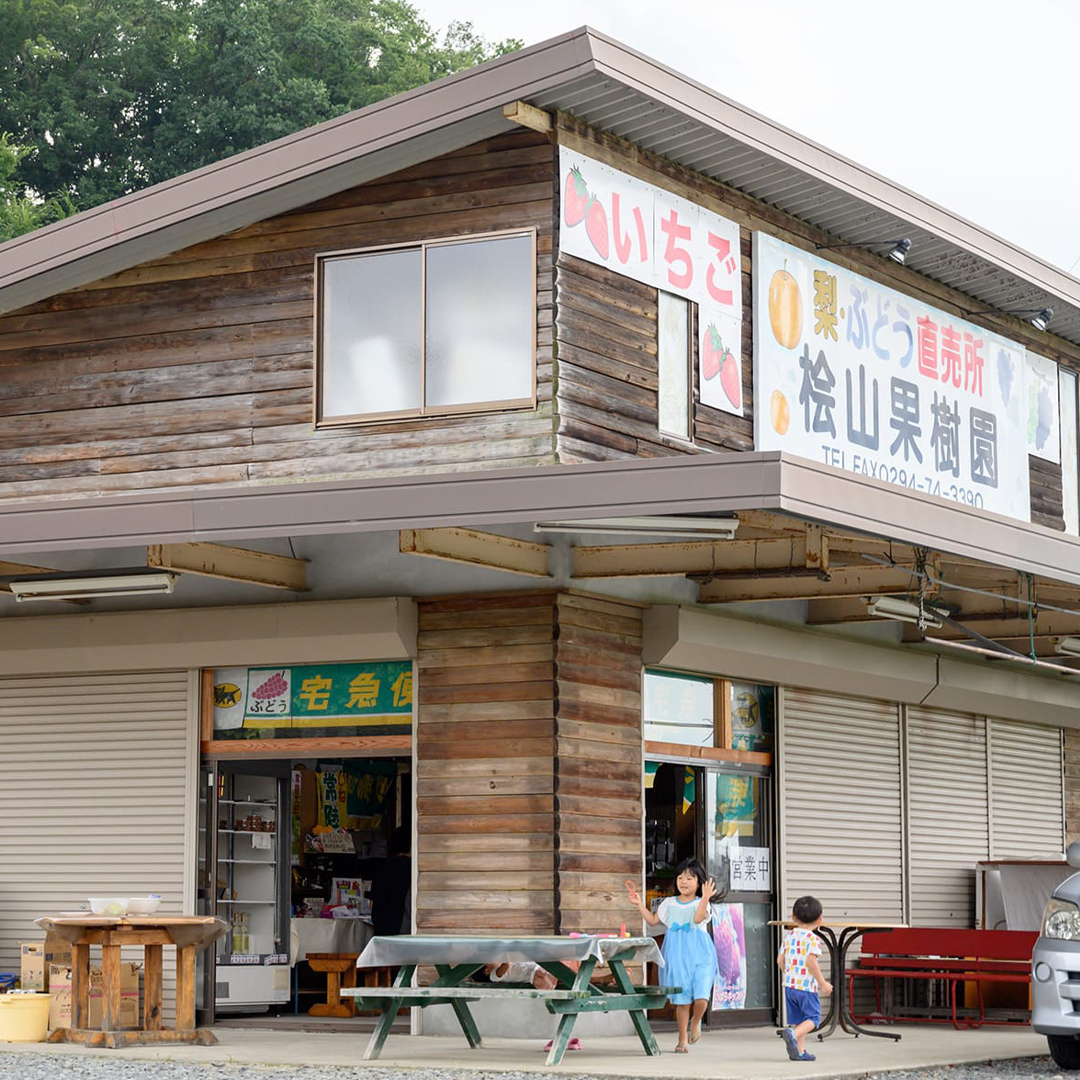 【 先行予約 】茨城県産 シャインマスカット3房と旬の梨詰め合わせ 約5kg ( 茨城県共通返礼品 : 常陸太田市 )【 2025年 9月中旬頃より発送 】 梨 ナシ なし 和梨 シャインマスカット フルーツ ぶどう 葡萄 ブドウ マスカット 果物  期間限定 数量限定