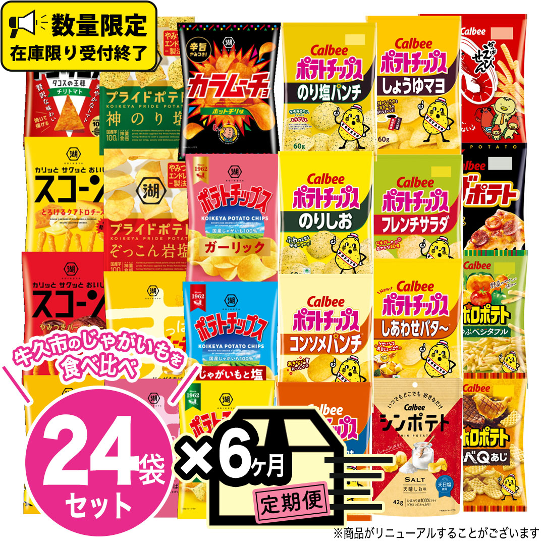 【 6ヶ月 連続 定期便 】 カルビー 湖池屋 人気 24種 詰め合わせ お楽しみ 24袋 スナック菓子 セット カルビー 湖池屋 ポテトチップス ポテチ お菓子 おかし 大量 スナック おつまみ ジャガイモ じゃがいも まとめ買い Calbee ポテト おまかせ 定期便 頒布会 数量限定