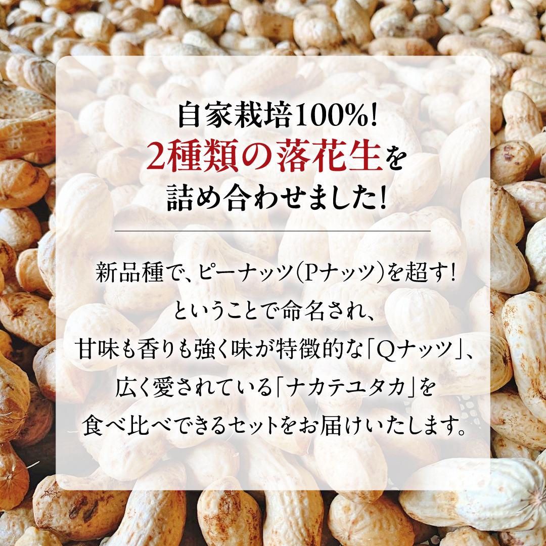 【2025年11月以降発送】牛久市産落花生Ｑナッツセット Qなっつ Qなっつ ピーナッツ ピーナツ ナカテユタカ 中手豊 殻付き おやつ お菓子 おつまみ お取り寄せ 詰め合わせ お土産 贈り物 ギフト プチギフト 国産 茨城 特産品 農園 自家栽培 ビールのお供