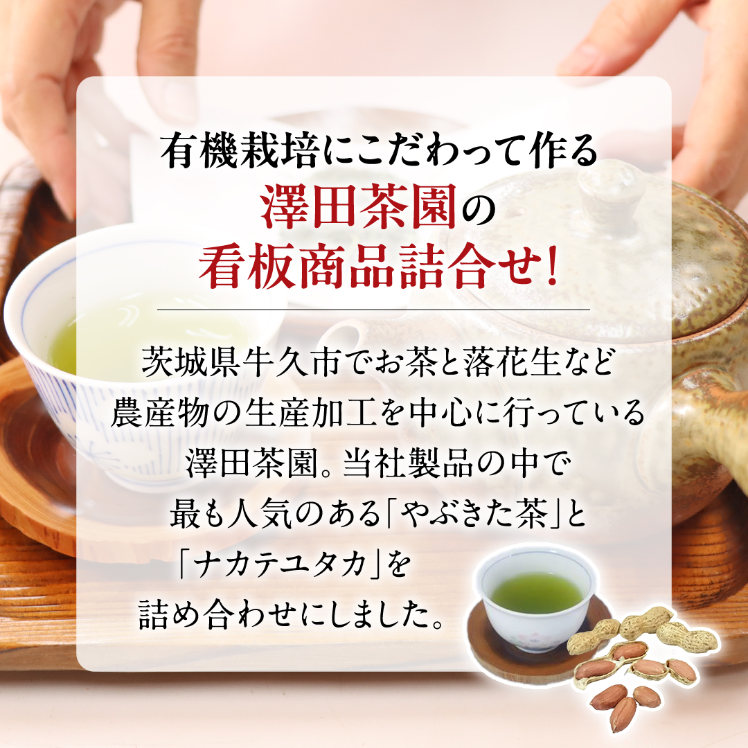 牛久市産お茶1品と落花生1種（各大小1袋）の3点セット 落花生 ピーナッツ ピーナツ ナカテユタカ 中手豊 お茶 煎茶 やぶきた茶 美味しい おいしい おやつ お菓子 セット 詰め合わせ ビールのお供 お取り寄せ 詰め合わせ お土産 贈り物 プチギフト 国産 茨城 特産品 農園 自家栽培
