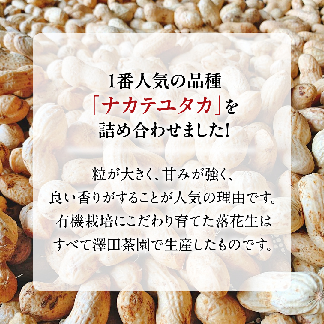 牛久産 落花生 大小 4袋 詰合せ ピーナッツ ピーナツ ナカテユタカ 中手豊 甘い 美味しい おいしい おやつ お菓子 ビールのお供 お酒のあて 酒の肴 お取り寄せ 詰め合わせ セット お土産 贈り物 ギフト プチギフト 国産 茨城 特産品 農園 自家栽培