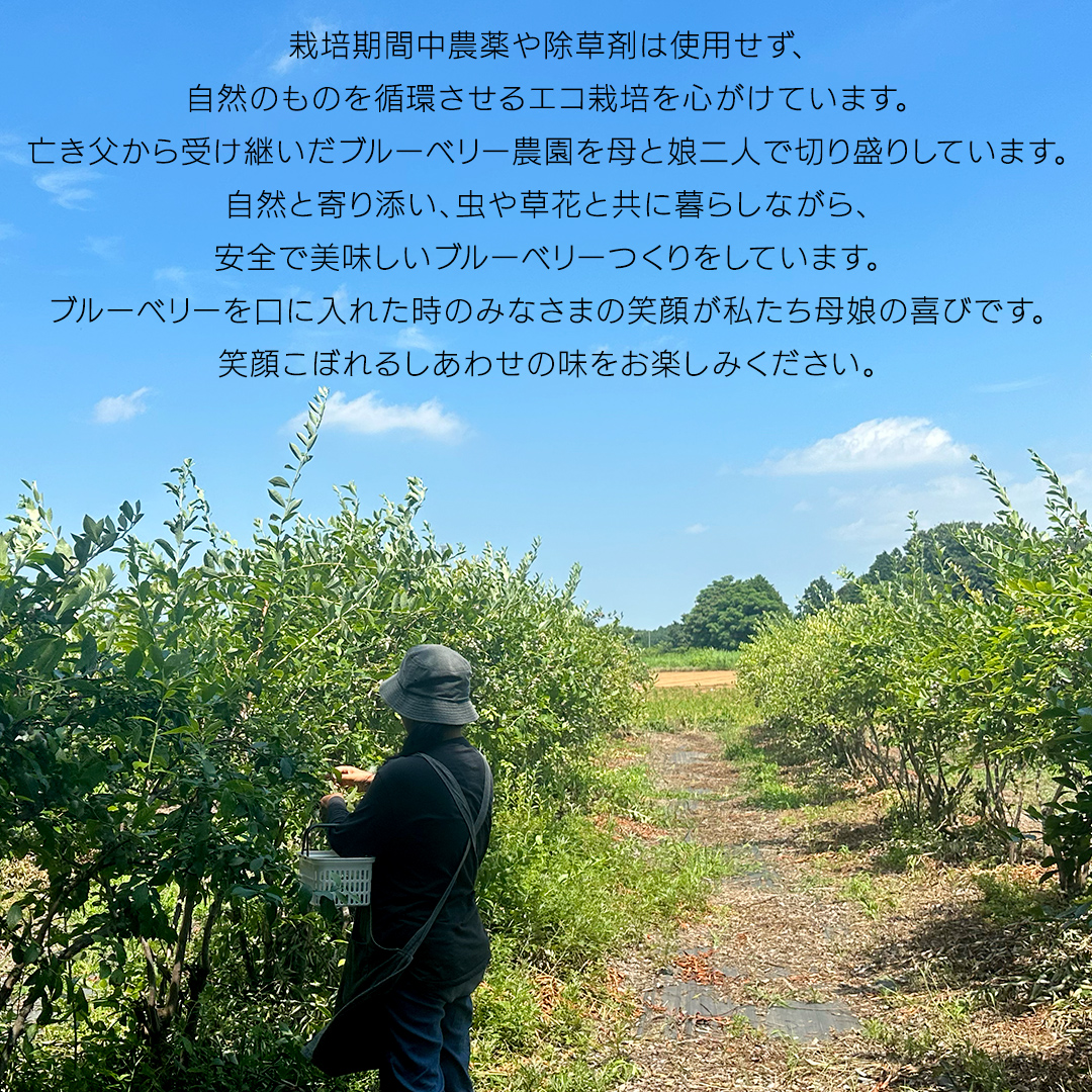 《 先行予約 》ブルーベリー 大小不揃い 約 1kg【2026年6月中旬頃より発送開始】 訳アリ B品 お得 甘い 甘酸っぱい 産地直送 おやつ デザート ジャム スムージー