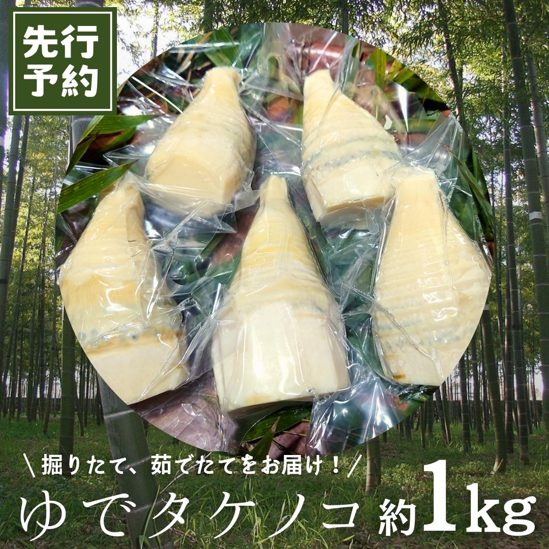 《 先行予約 》新鮮な ゆでタケノコ 約1kg 竹の子 1キロ 筍 たけのこ 水煮 真空パック 国産 たけのこご飯 【2025年4月上旬以降発送】