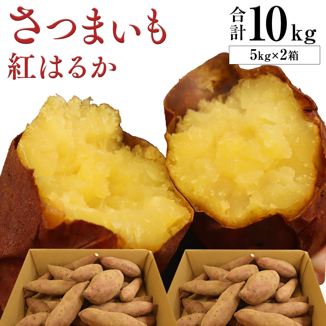 さつまいも【紅はるか】10kg（箱込）の 5kg 2箱セット さつまいも 詰合せ 国産 農園 野菜 サツマイモ 芋 期間限定 デザート スイーツ おやつ プチギフト 贈答用 料理 味噌汁 煮物 生芋