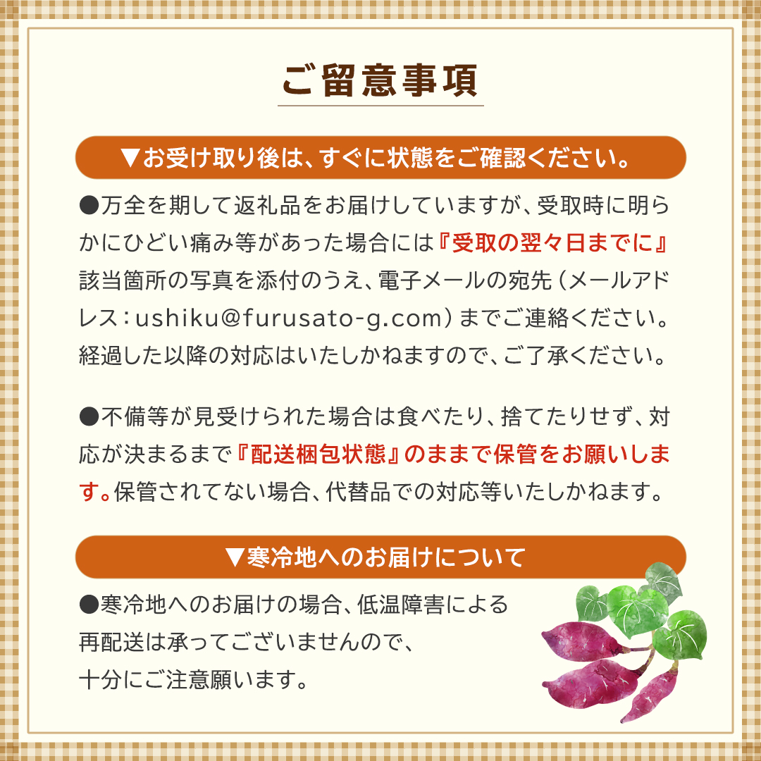 さつまいも【紅はるか】10kg（箱込）の 5kg 2箱セット さつまいも 詰合せ 国産 農園 野菜 サツマイモ 芋 期間限定 デザート スイーツ おやつ プチギフト 贈答用 料理 味噌汁 煮物 生芋