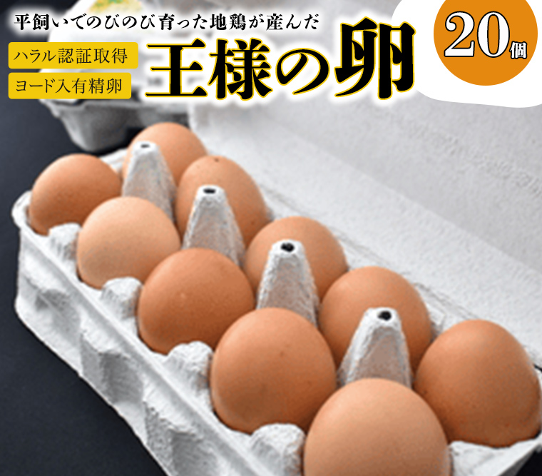 王様の卵 ヨード入 20個 平飼い 地鶏 有精卵 濃厚 卵 こだわり卵 たまご