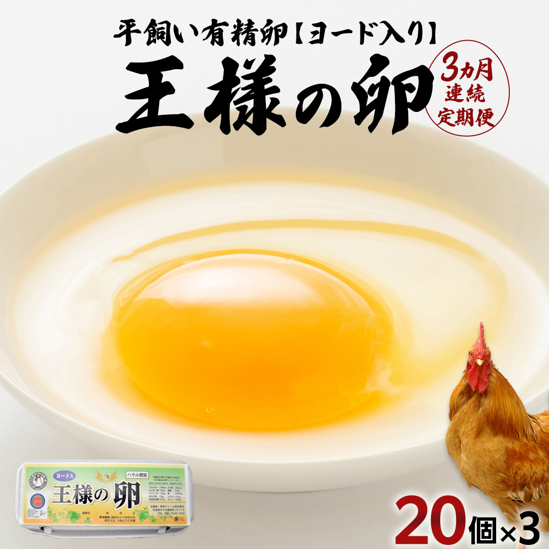 【3ヵ月 連続 定期便】王様の卵 ヨード入 20個 計60個 平飼い 地鶏 有精卵 濃厚 卵 こだわり卵 たまご 頒布会 定期