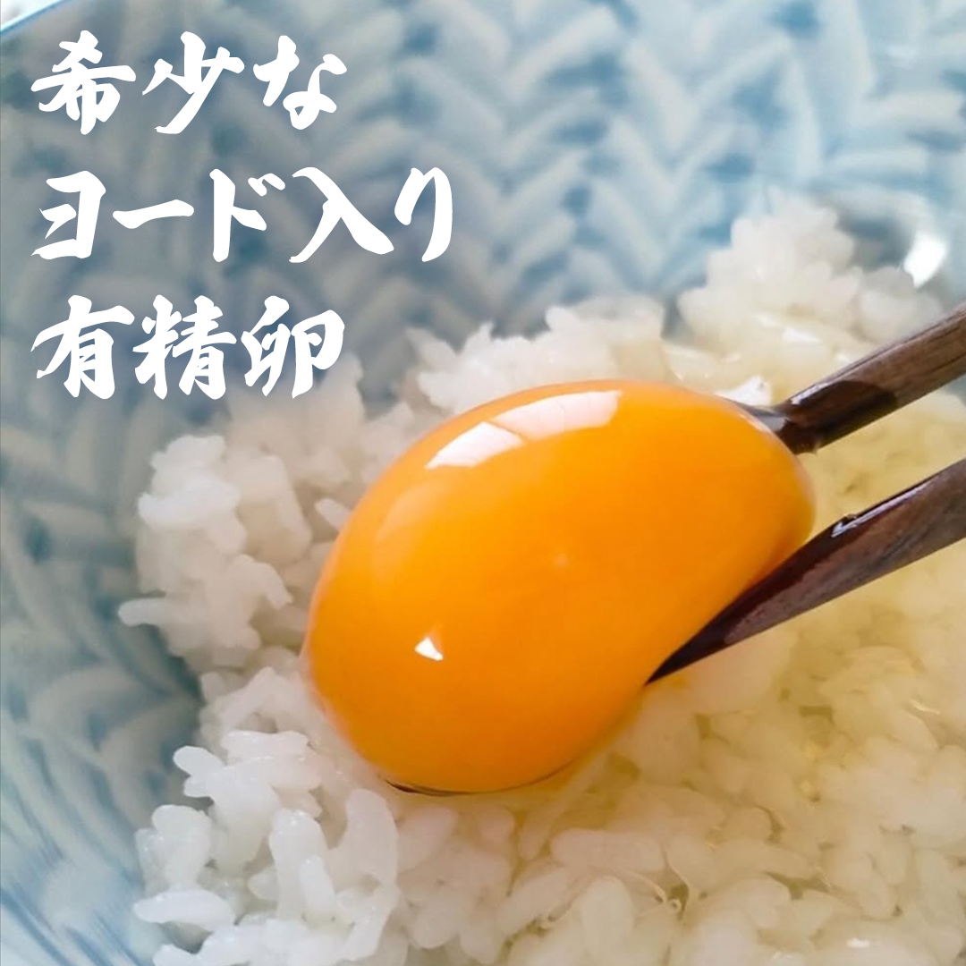 【12ヵ月 連続 定期便】王様の卵 ヨード入 20個 計240個 平飼い 地鶏 有精卵 濃厚 卵 こだわり卵 たまご  頒布会 定期
