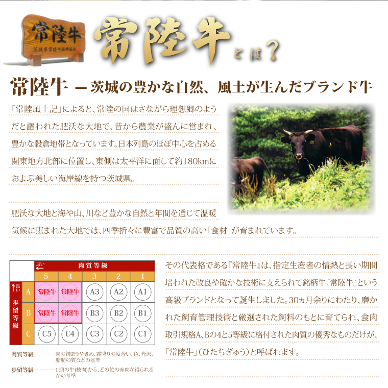 常陸牛リブロースしゃぶしゃぶ用　500g ( 茨城県共通返礼品 )