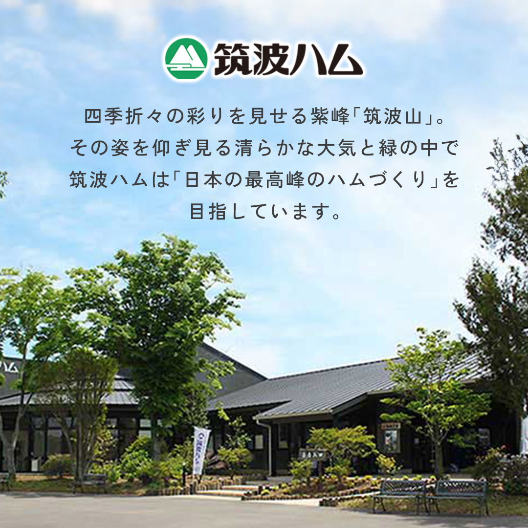 筑波ハム イチオシ ベーコン 2個 合計460g 茨城県産 『 常陸の輝き 』 ブランド豚 銘柄豚 ( 茨城県共通返礼品 ) 肉 豚 熟成 スモーク 濃厚