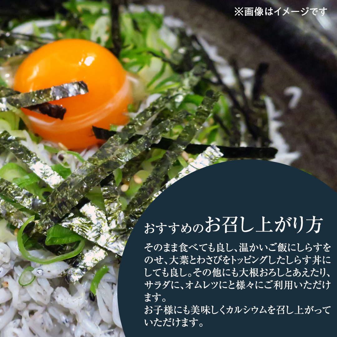 倧接枯氎æãã® éæãããã 500g (250gÃ2ããã¯) (èšåçå
±éè¿ç€ŒåïŒåèšååž) ããã ããã䞌 åœå
éæã æ°é®® ã·ã©ã¹ æµ·é®® åã©ã ã«ã«ã·ãŠã æžå¡©