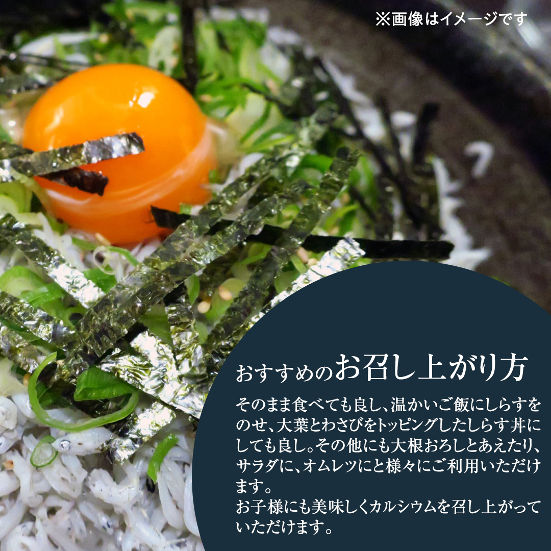 大津港水揚げ しらす干し 500g (250ｇ×2パック) (茨城県共通返礼品：北茨城市) しらす しらす丼 国内 水揚げ 新鮮 シラス 海鮮 冷凍 子ども カルシウム 減塩
