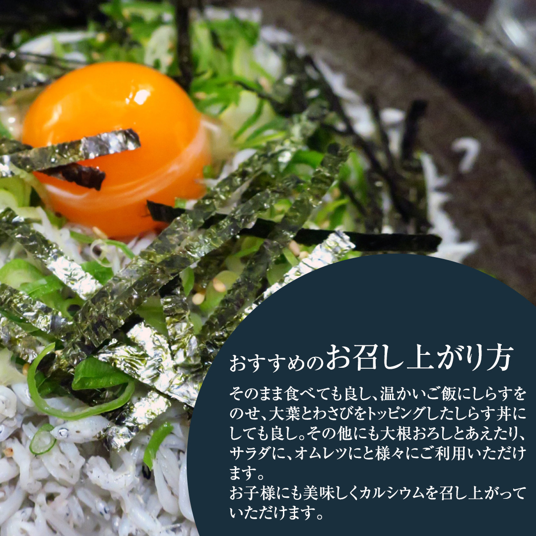 大津港水揚げ しらす干し 1kg (500g×2パック) (茨城県共通返礼品：北茨城市) しらす しらす丼 国内 水揚げ 新鮮 シラス 海鮮 冷凍 子ども カルシウム 減塩