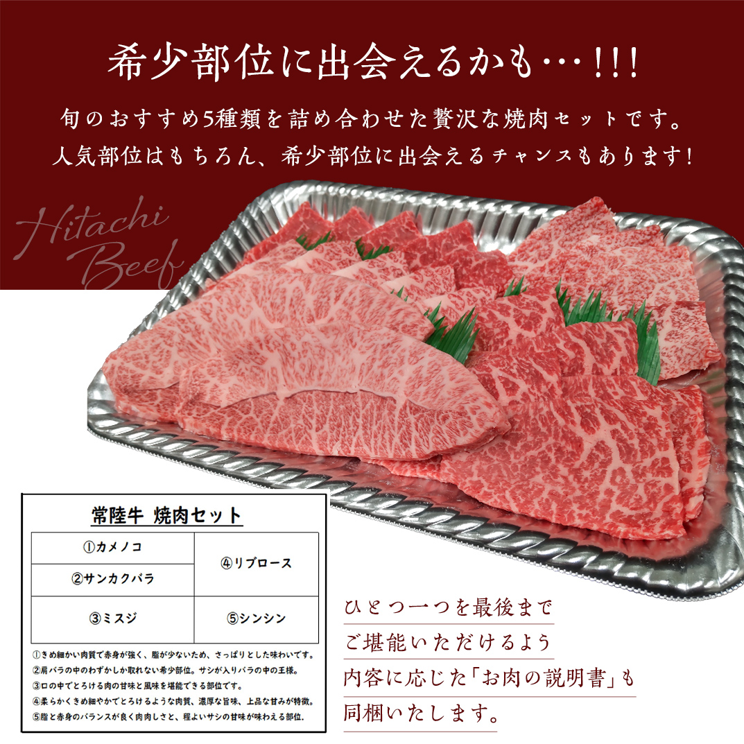 ãåžžéžçãçŒèã»ãã 400g (èšåçå
±éè¿ç€Œå) åœç£ çè è ãè çŒãè ããŒããã¥ãŒ BBQ ã«ã¡ãã³ ãµã³ã«ã¯ãã© ãã¹ãž ã€ãã ãµãµã ã¶ããã³ ã·ã³ã·ã³ ã«ã€ãã ãã³ãžã§ãŒ ã¿ããã© äžè§ãã© ãµã€ã³ãã¹ããŒã ãµãŒãã€ã³ ãªãããŒã¹ ã©ã³ã ãŠã¯ãã¹ãž ãã¬