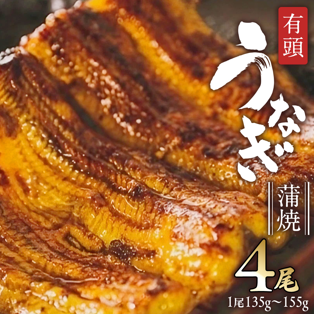 鹿児島県産 有頭 鰻 蒲焼 × 4尾 （ 1尾 135g ～ 155g 以上） うなぎ ウナギ 土用丑の日 家庭用 贅沢 国産 旬 敬老の日 タレ 山椒 付 縁起