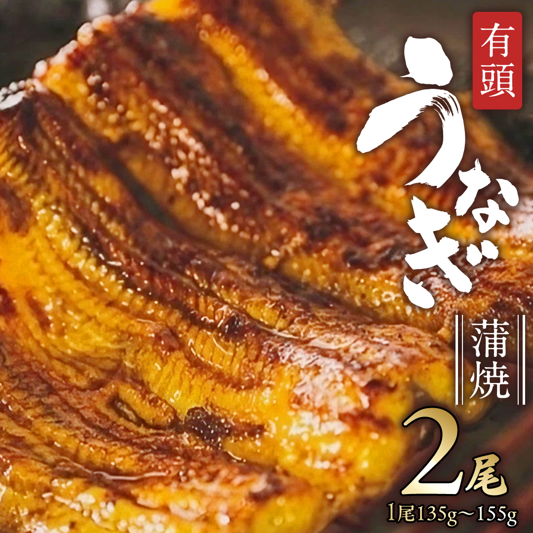 鹿児島県産 有頭 鰻 蒲焼 × 2尾 （ 1尾 135g ～ 155g 以上） うなぎ ウナギ 土用丑の日 家庭用 贅沢 国産 旬 敬老の日 タレ 山椒 付 縁起