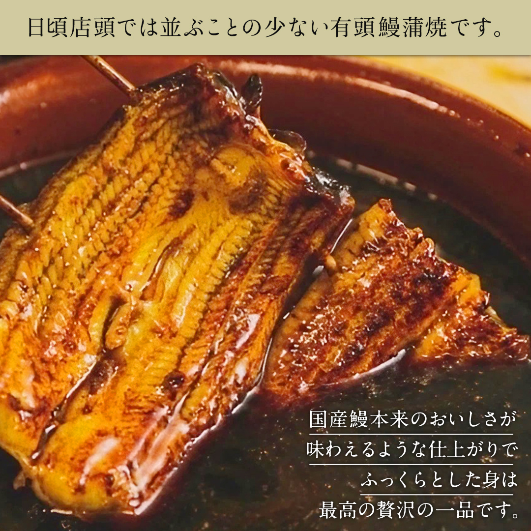 鹿å
å³¶çç£ æé é°» è²çŒ à 2å°Ÿ ïŒ 1å°Ÿ 135g ïœ 155g 以äžïŒ ããªã ãŠãã® åçšäžã®æ¥ å®¶åºçš èŽ
æ²¢ åœç£ æ¬ æ¬èã®æ¥ ã¿ã¬ å±±æ€ ä» çžèµ·