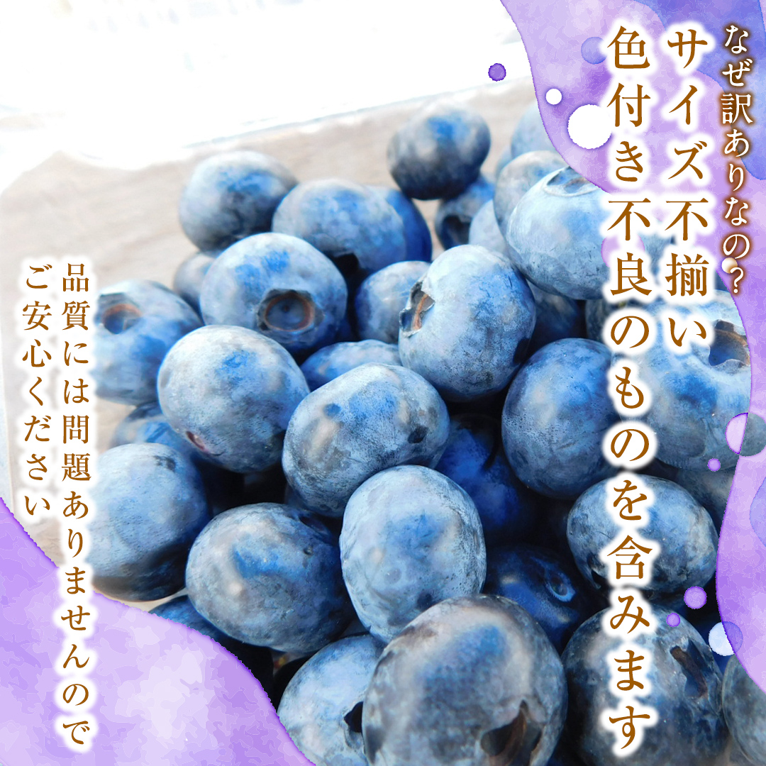 âªå
è¡äºçŽâ«ã èš³ãã ã ææ¡ã å®ç ãã«ãŒããªãŒ 1050g ( 350g à 3ãã㯠) ã 2026幎 7æäžæ¬é ããçºééå§ ã ã¶ããŒã¹ã㌠ãã«ãŒã æç© ãã ãã® æ°é®® ããªãŒ å°åã æã©ã åœç£ ç èŠæ Œå€ äžæã