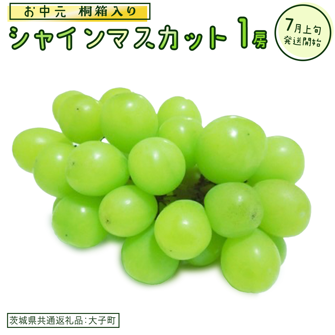 【 お中元 桐箱入り】 シャインマスカット １房 【2026年7月上旬発送開始】(茨城県共通返礼品：大子町) ぶどう 葡萄 マスカット フルーツ 果物 贈答用 ギフト 贈り物