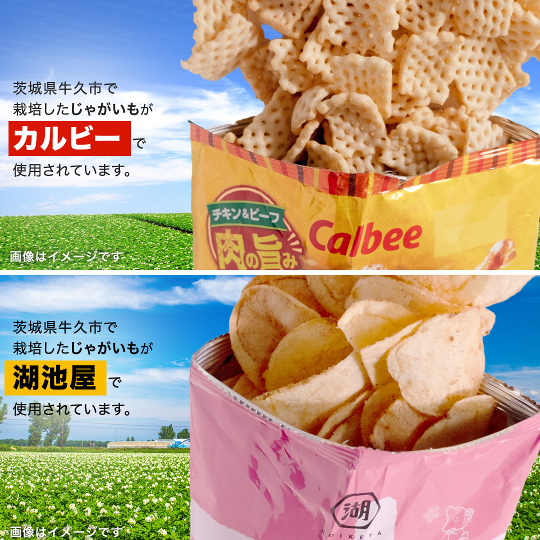 【最短3営業日！スピード発送】カルビー 湖池屋 人気 24種 詰め合わせ お楽しみ スナック菓子 セット カルビー 湖池屋 ポテトチップス ポテチ お菓子 おかし 大量 スナック おつまみ ジャガイモ じゃがいも まとめ買い Calbee ポテト おまかせ 数量限定