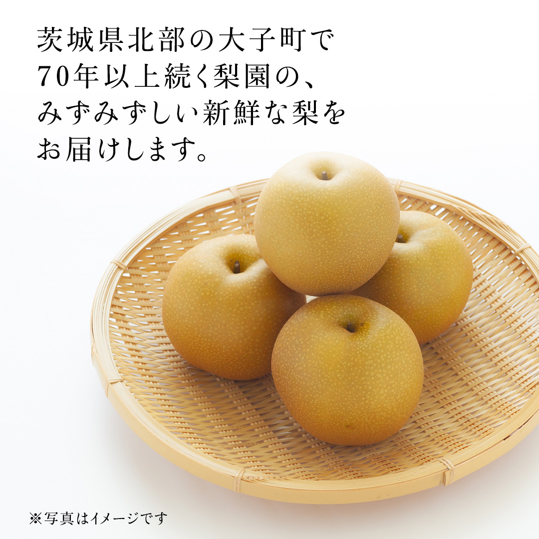 茨城県産 梨 豊水 サイズ おまかせ （ 3L～4L ） 5kg （ 12～14玉 ） 【2026年9月上旬発送開始】 (茨城県共通返礼品：大子町) 梨 なし ナシ 果物 くだもの 季節 フルーツ デザート 旬果 