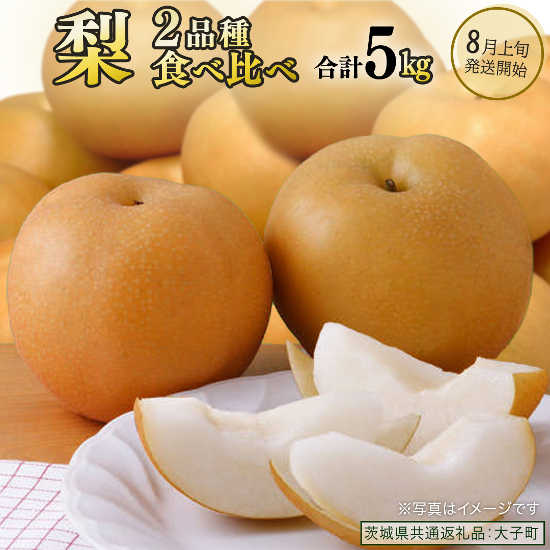 【食べ比べ】 梨 2品種 合計 約5kg 【2026年8月上旬発送開始】 (茨城県共通返礼品：大子町) なし 果物 くだもの フルーツ おまかせ 旬