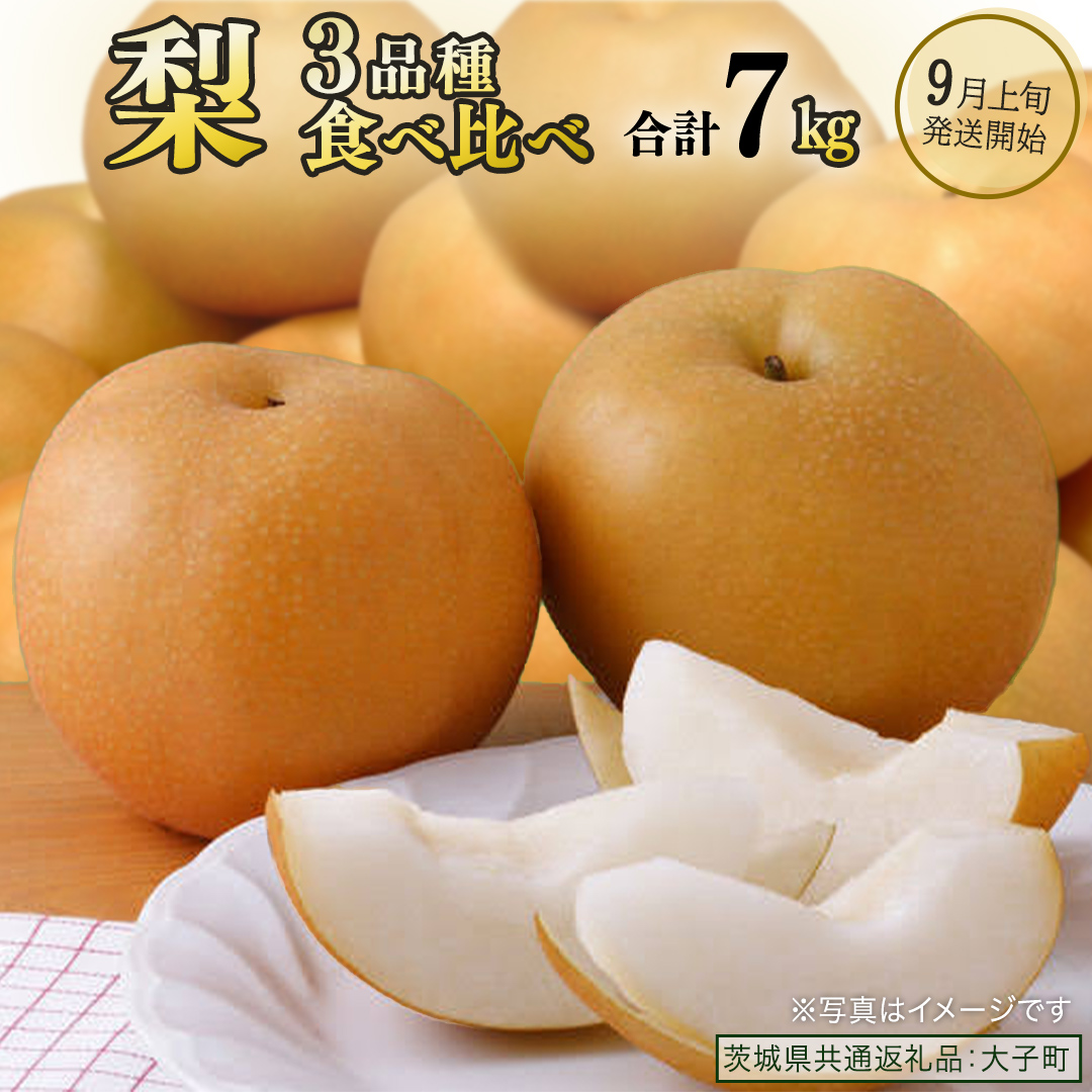 【食べ比べ】 梨 3品種 合計 約7kg 【2026年9月上旬発送開始】(茨城県共通返礼品：大子町) なし 果物 くだもの フルーツ おまかせ 旬
