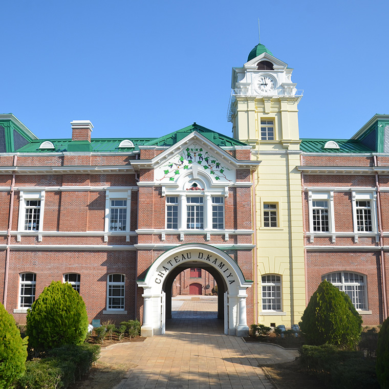 ã æ°ééå® ã ãã¹ã«ããã»ããŒãªãŒïŒ¡2024 + 750ml ã¯ã€ã³ ããã£ã¢ã ãã㣠ãé
çä¹
ã·ã£ã㌠é
žå³ ã¯ã€ããªãŒ èµ€ã¯ã€ã³ ã¶ã©ã è¡è èŽãç©