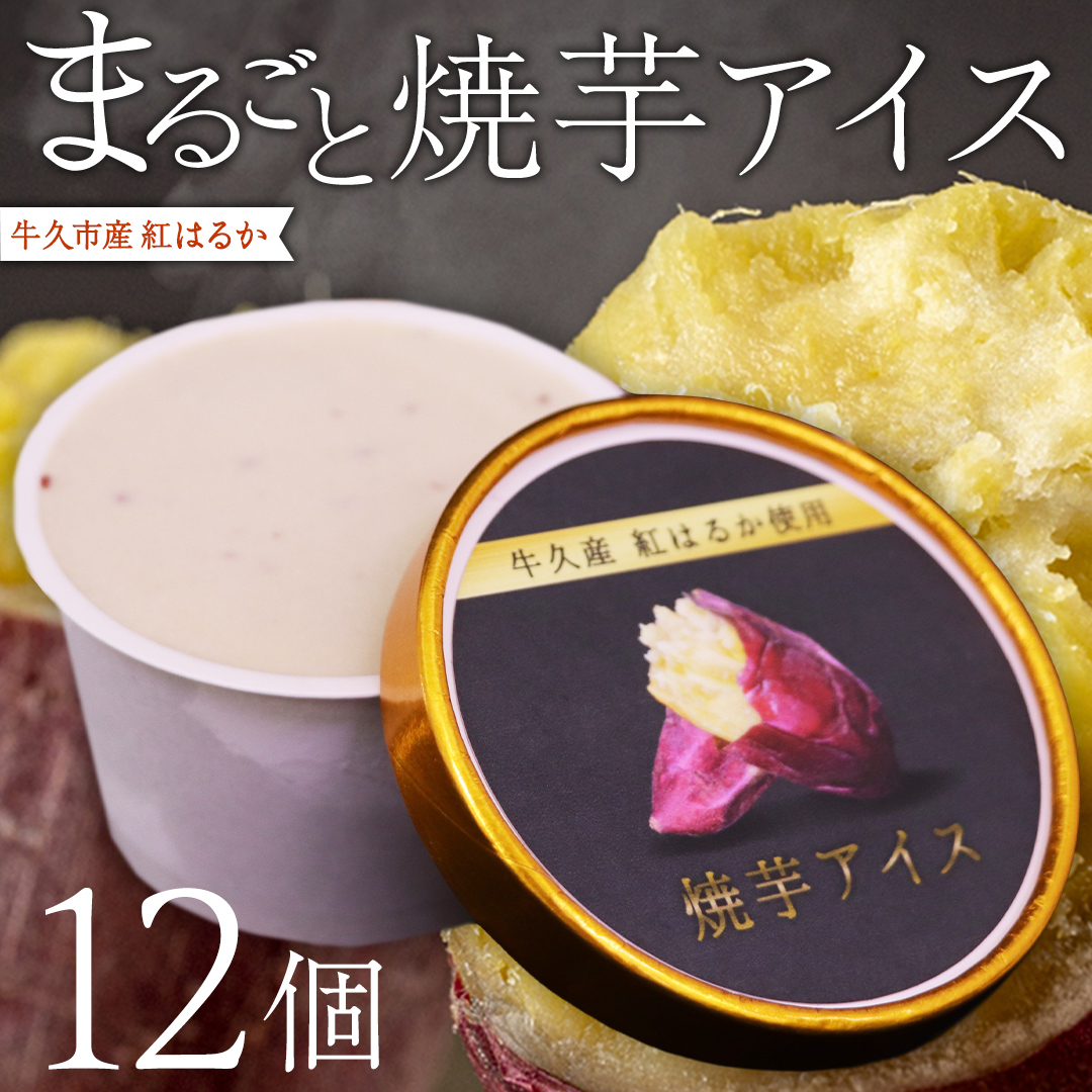 牛久市産 紅はるか 使用 焼き芋アイス 12個 入り アイスクリーム さつまいもスイーツ 焼き芋味 べにはるか 夏 アイス ギフト さつま芋 味 焼き芋 味 サツマイモ 冷凍 贈り物