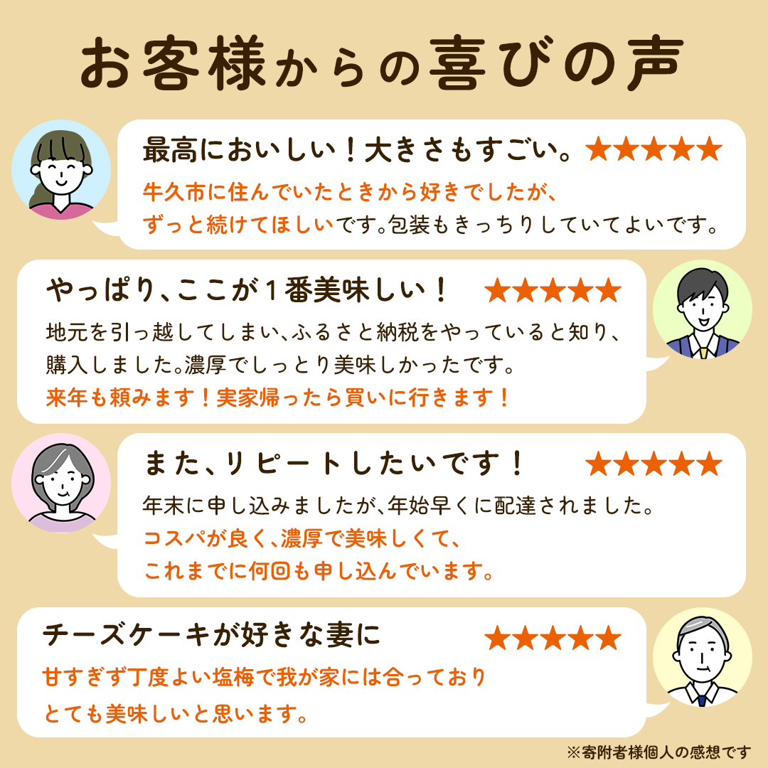 濃厚 ！ ベイクドチーズケーキ 5号（ 冷凍 ） チーズケーキ 冷凍ケーキ クリームチーズ 濃厚 甘い おいしい 美味しい スイーツ おうちカフェ お菓子 おやつ お取り寄せ お土産 贈り物 お祝い 誕生日 プレゼント ギフト パーティー 国産 茨城